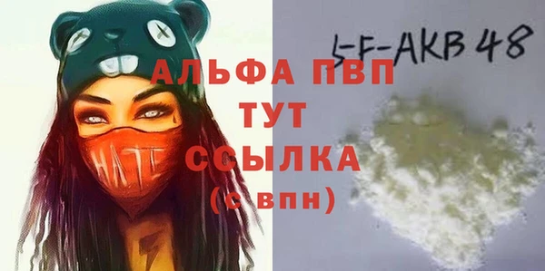 прущие грибы Дмитриев