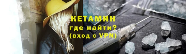 прущие грибы Дмитриев