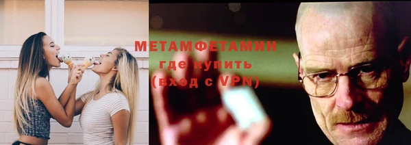 прущие грибы Дмитриев