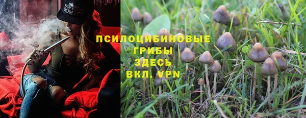 прущая мука Дмитровск
