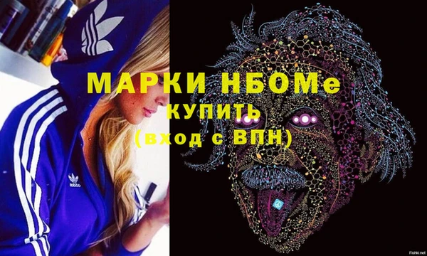 прущие грибы Дмитриев