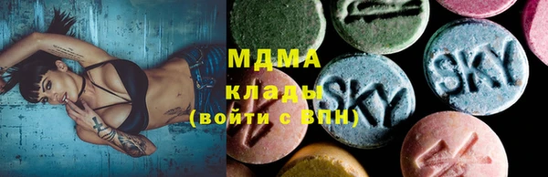 прущие грибы Дмитриев