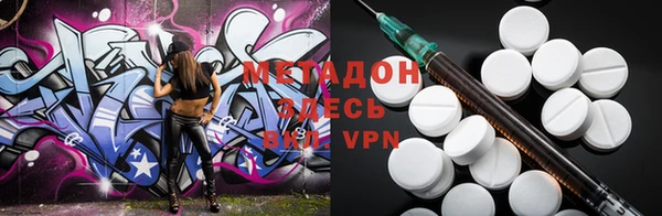 прущие грибы Дмитриев