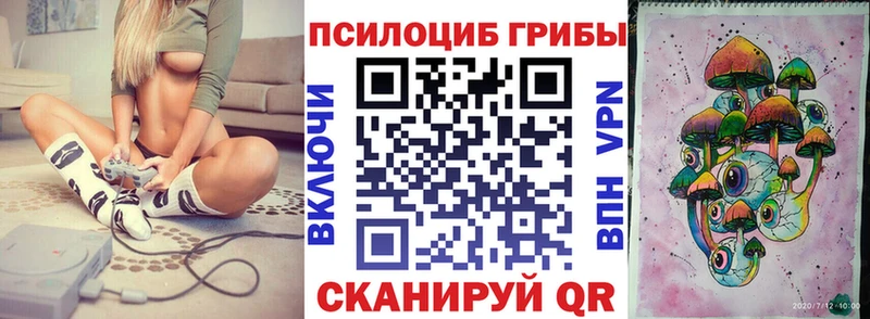 Купить  Острогожск  Псилоцибиновые грибы Psilocybine cubensis 